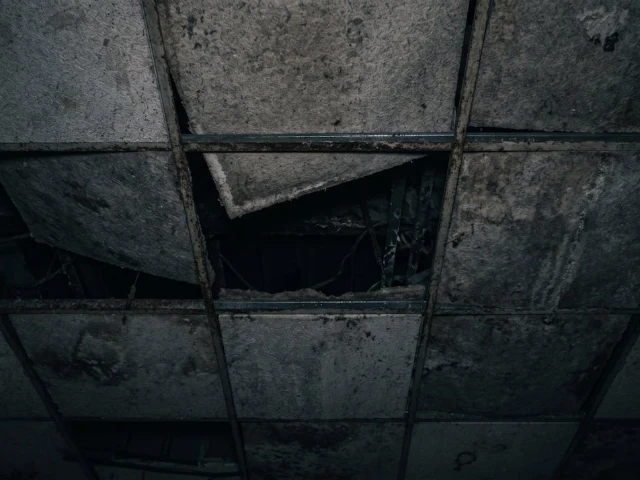 Asbestos insulating board ceiling panel