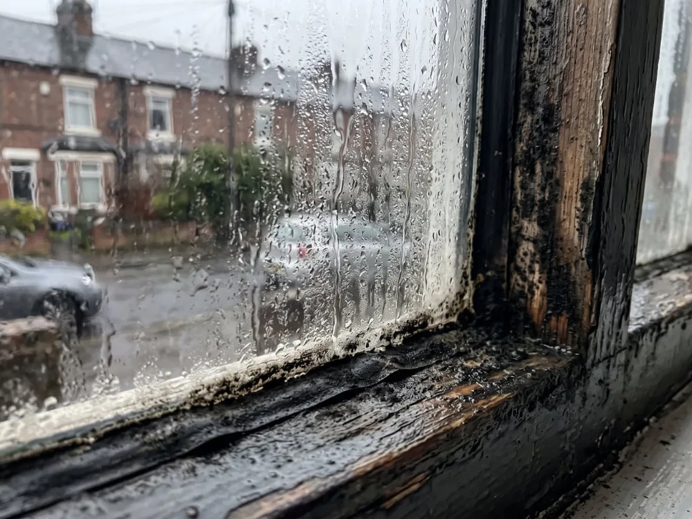 Heavy condensation on a single-glazed window with black mould around the timber frame